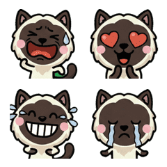 Anim. Overreaction Birman 2nd