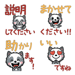 Anim. Polite Bearded Collie 6th