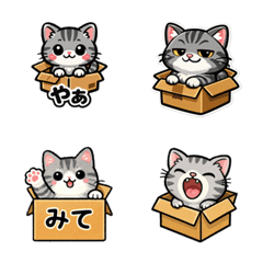 Cute Cat in a Box Emoji (40 Pack)