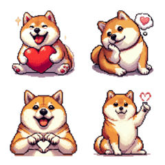 big love telling heart fat shiba