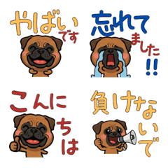 Polite Bullmastiff 5th