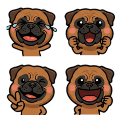 Overreaction Bullmastiff 1st