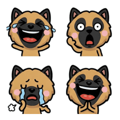 Overreaction Belgian Shepherd 1st