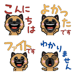 Anim. Polite Belgian Shepherd 6th