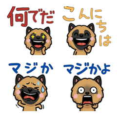 Anim. Belgian Shepherd 4th Text