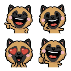 Anim. Belgian Shepherd 2nd