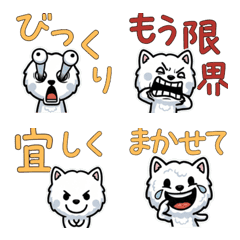 Overreaction Bolognese 3rd Text