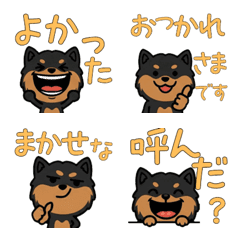 แมนเชสเตอร์ เทอร์เรีย 3rd มีคำ