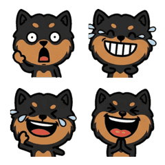 แมนเชสเตอร์ เทอร์เรียดุ๊กดิ๊ก 2nd