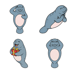 슈르한 매너티 이모지