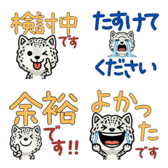 Polite Snow Leopard 5th