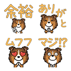 Overreaction Rough Collie 3rd