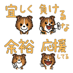 Anim. Rough Collie 4th Text