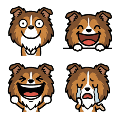 Anim. Rough Collie 2nd