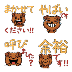 เลกแลนด์ เทอร์เรีย 5th สุภาพ