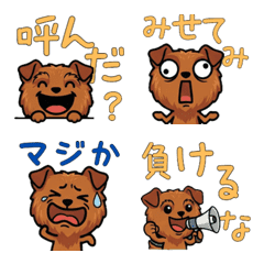 เลกแลนด์ เทอร์เรียดุ๊กดิ๊ก 4th