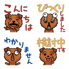 เลกแลนด์ เทอร์เรียดุ๊กดิ๊ก 6th