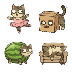 Super weird meow changing style