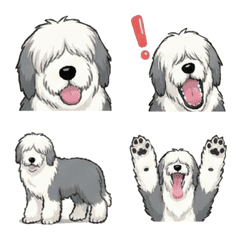 올드 잉글리쉬 쉽독 (강아지)