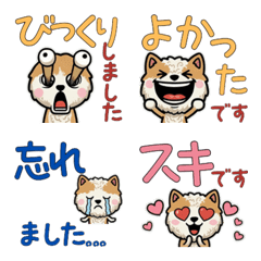 Anim. Polite Wire Fox Terrier 6th