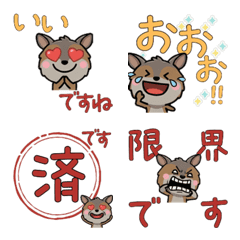 Anim. Polite Wallaby 6th