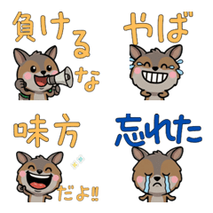 Anim. Wallaby 4th Text