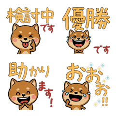 Anim. Polite Mame Shiba 6th