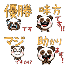 Anim. Polite Brown Panda 6th