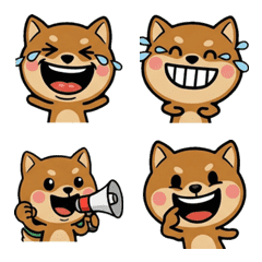 Anim. Overreaction Mame Shiba 2nd