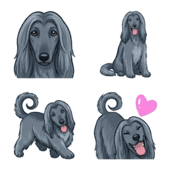 아프간 하운드 블루 (개)