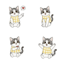 墨墨貓咪|表情貼