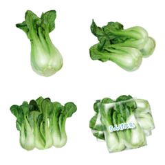 Bok choy