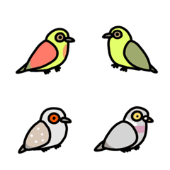 Various pigeons and doves