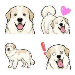 그레이트 피레니즈 (강아지)