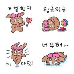 我家小狗，曲奇餅（韓語）4