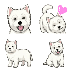 웨스트 하일랜드 화이트 테리어 (개)