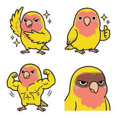 Pipi: The Little Copycat