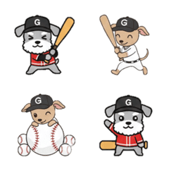 Baseball Schnauzer Italian Great Hound