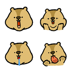 Flappy Marmot Face Emoji