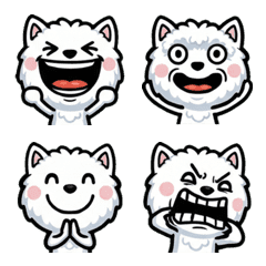 Overreaction Coton 1st