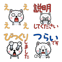 Polite Skookum Cat 5th