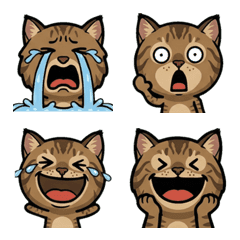 แมวเชาซีเล่นใหญ่ 1st