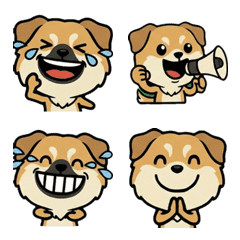 ชีนุกเล่นใหญ่ 1st