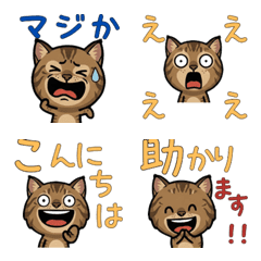 แมวเชาซีเล่นใหญ่ 3rd มีคำ