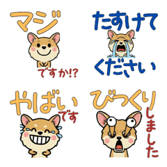 หนูเจอร์บัวเล่นใหญ่ 5th สุภาพ