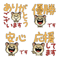 Polite Genetta Cat 5th