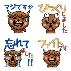 แมวไฮแลนเดอร์เล่นใหญ่ 5th สุภาพ