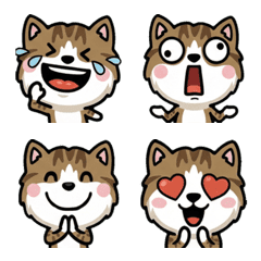 Overreaction Brown&White 1st