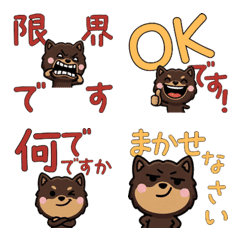 Anim. Polite Choco Chi 6th