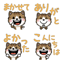 Anim. Brown&White Tabby 4th